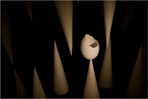 Tension © Amber Hall