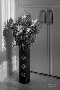 Still Life | 10