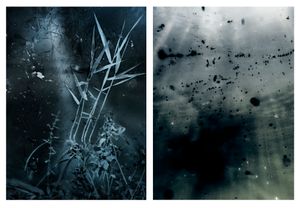 Dissociated #5