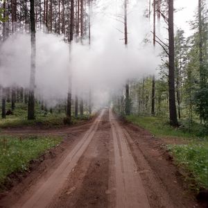 Work from series "Ilgas"