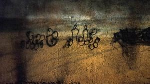 Hope for Freedom