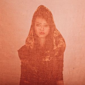 Golnar, an Iranian woman is photographed through the fabric of her hijab (the Islamic headscarf worn by women in the presence adult men who are not members of her immediate family). Since the Islamic revolution in 1979, Iranian women are not allowed to be seen in public without proper Islamic head dress in Iran. Not wearing a proper hijab is illegal and can result in arrest by a special