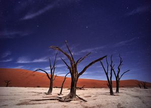 Without water 8