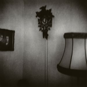 Broken Shadow #13