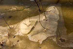 Ice Island, Ryerson Conservation Area, Lake County, IL, 2008