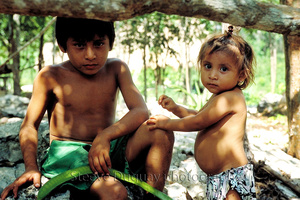 Mayas