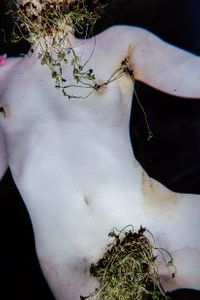 Ecosex in The Other Way Around