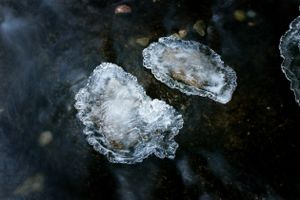 Hidden Forms in Ice 3
