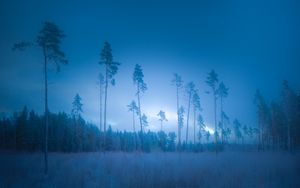 Baltic blue