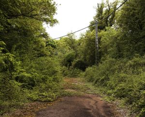 © Jérémy SAINT-PEYRE