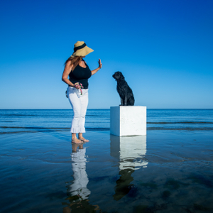 Untitled (Blank Box)
