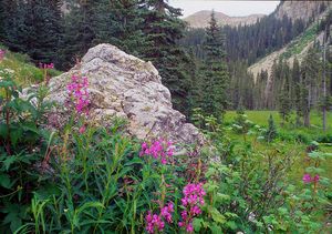 Nambe Cirque and Peak, Pecos Wilderness, North.