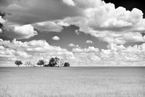 After the end, Abandoned Homestead