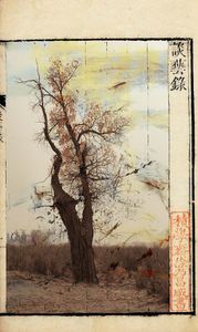 A Wind from Yesterday No.2