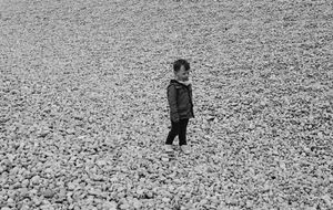tiny solitary visitor