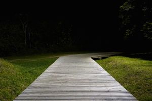 The uncertain path