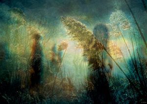 DANCING SOULS
