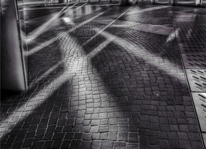Reflexes.
