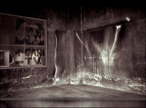 “Genius Loci”, 2011