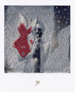 N°65 : Dead Goldfish﻿