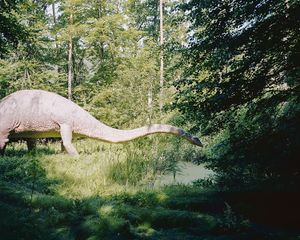 Dino