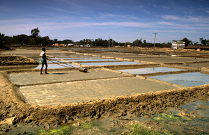 Salt production, Moheskhali island, Near Cox's Bazaar, Bangladesh