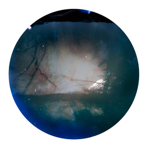 Tin-can Firmament: North 50° 36' 86″, East -04° 63′ 90″ (30/09/12 - 12/01/13)