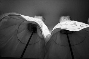 Mokhber al-Dowleh's brides