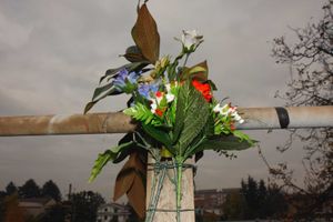 Fiori recisi