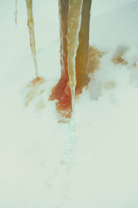 untitled from the series "Waiting for the Awakening"
