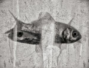 Just two souls swimming in a fish bowl