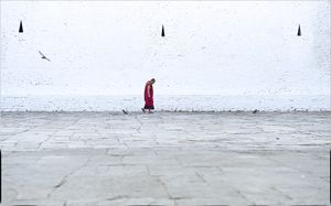 Monk and birds
