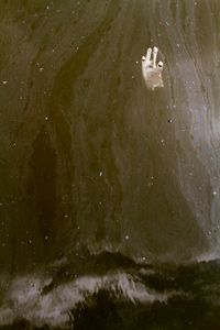 Untitled (Gowsanus Canal)