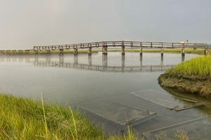 Sunken Reflections