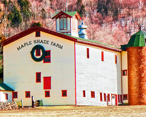 Maple Shade Farm-Delhi,NY