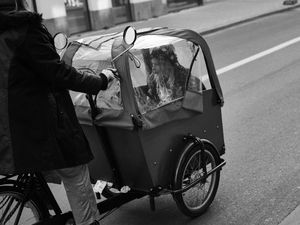 Travel in style