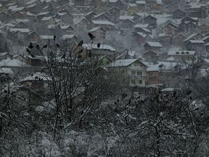 Sarajevo