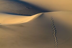 Walk to Nowhere