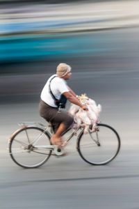 Chicken Bike