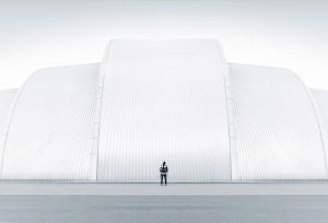Armadillo II
