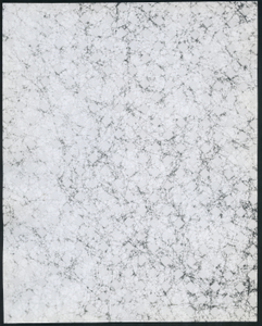 Fleece III