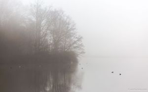 a misty Rammekenshoek