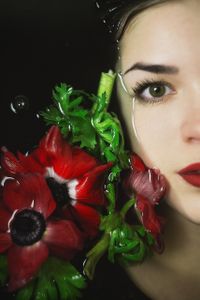 poppy story