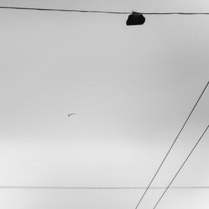 Urban Cage