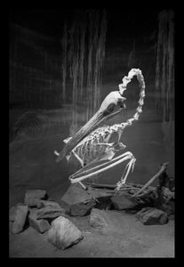 Nature Morte 3
