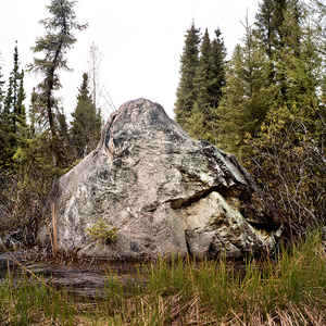 5 Erratic