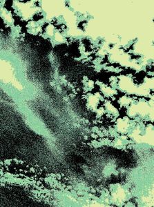 Metamorphosis 77