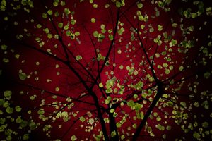 Granate Red
