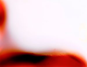 Body Archive