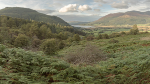 Bassenthwaite Lake view, The Lake District UK